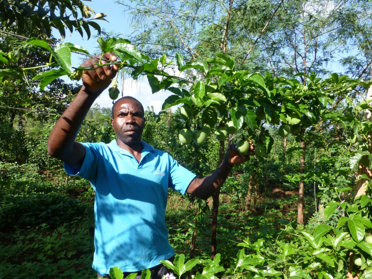 Entrepreneurship and Vulnerable Farmer Empowerment